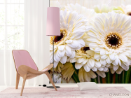 Фотошпалери кремова гербера - 4