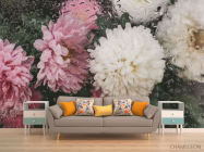 Фотообои Хризантемы с каплями дождя - 1