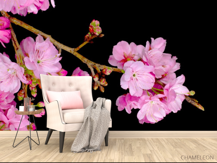 Фотообои Соцветия персика - 4