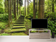 Фотообои зеленые ступеньки в лесу - 2