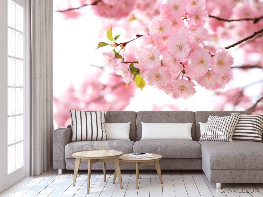 Фотообои Дерево в розовом цвету - 3