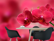 Фотошпалери Червоні орхідеї - 1