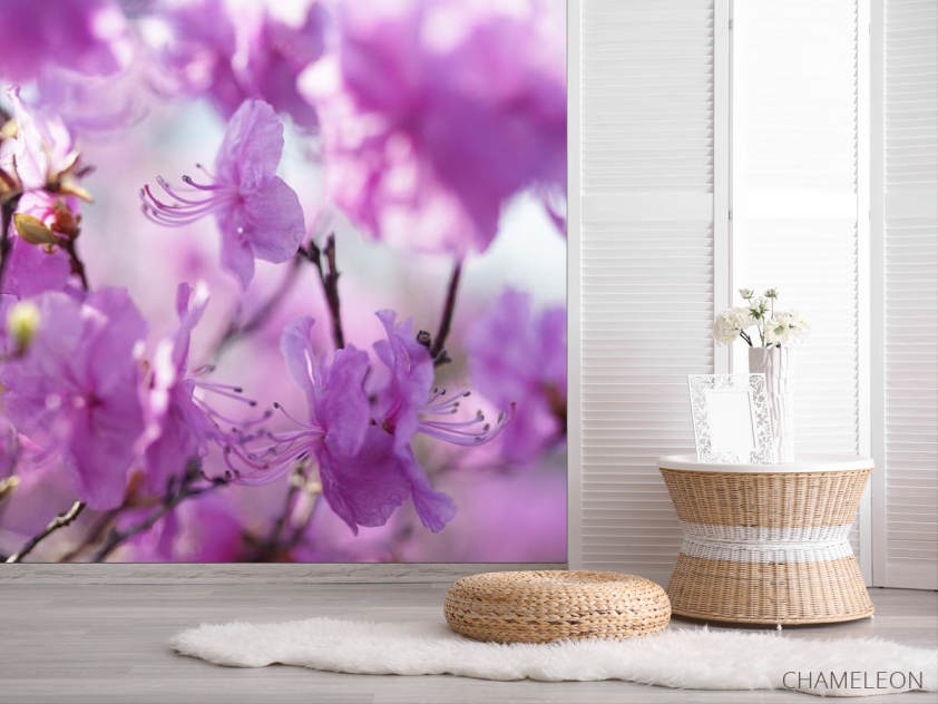 Фотошпалери бузкові квіточки на дереві - 2