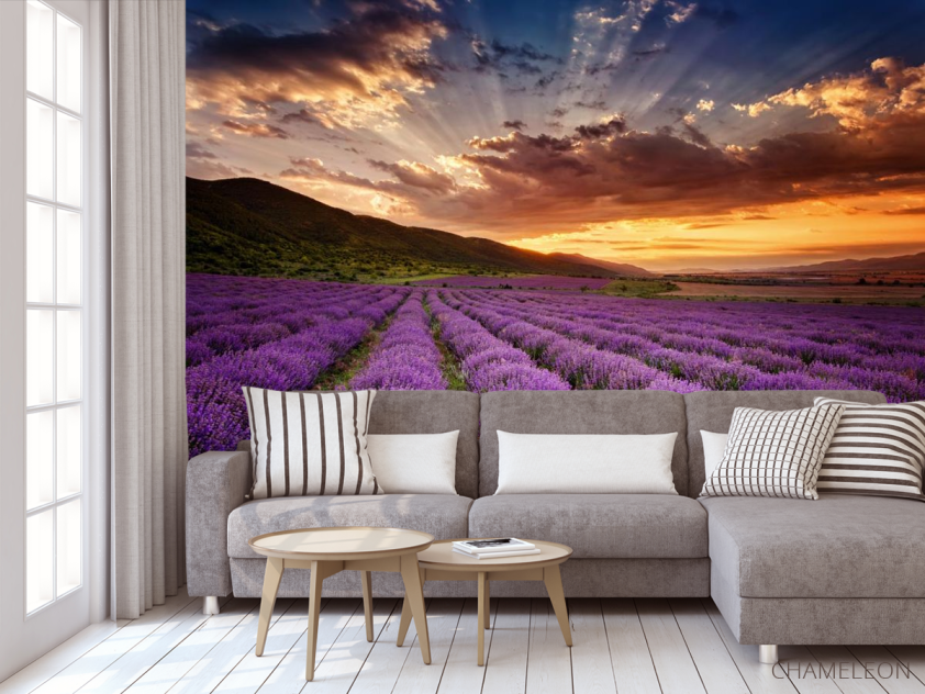 Фотообои закат над сиреневым полем - 3