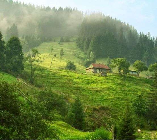 Фотообои особняк в лесу 25702