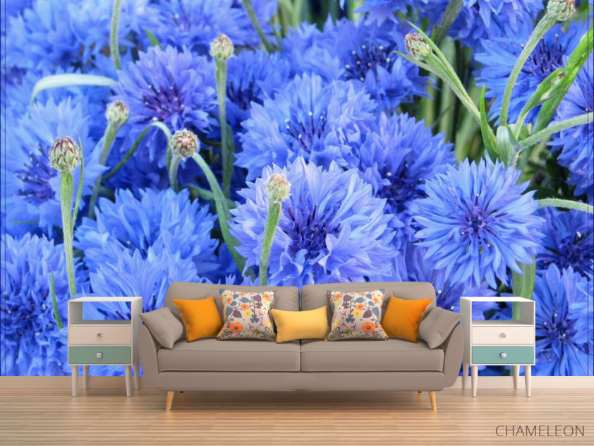 Фотообои Голубые васильки - 1