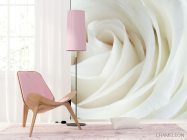 Фотошпалери Біла троянда - 4