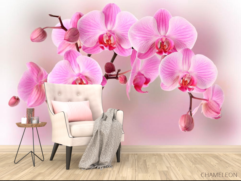 Фотообои Орхидеи розовых тонов - 4