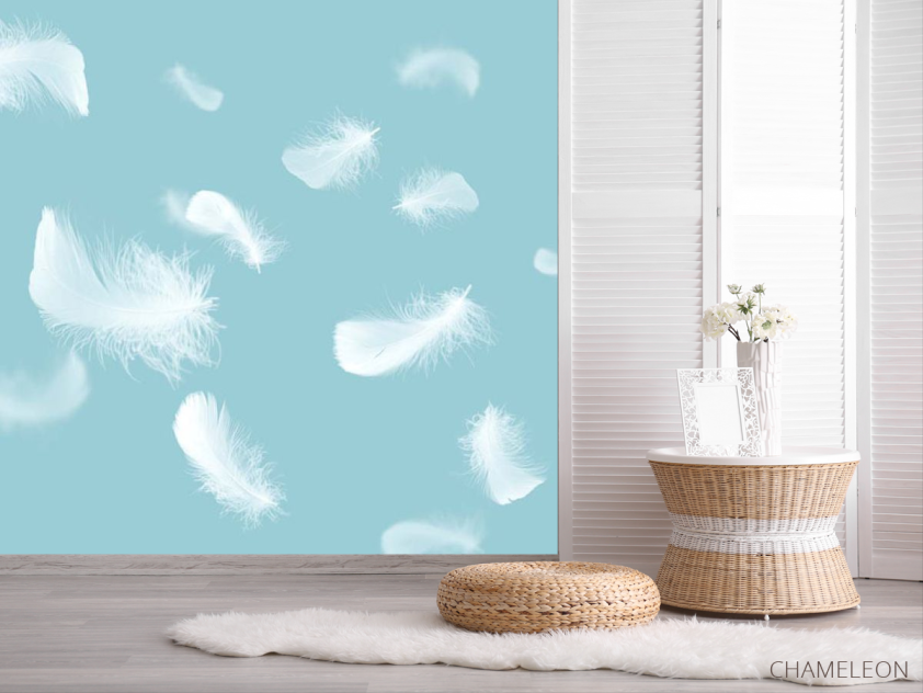 Фотошпалери білі пір'я на блакитному - 2