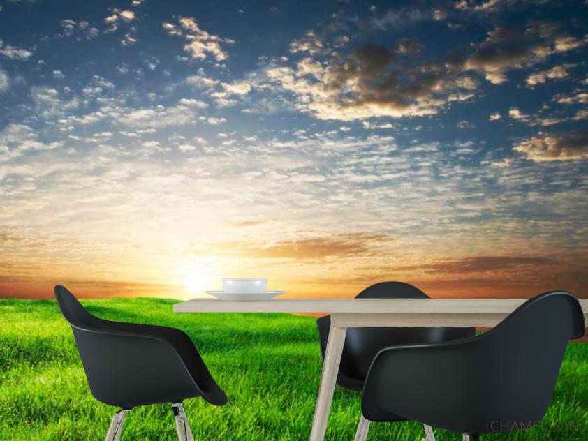 Фотошпалери Трава, небо - 1