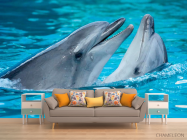Фотообои Нежность дельфинов - 1
