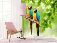Фотообои Попугаи - 4