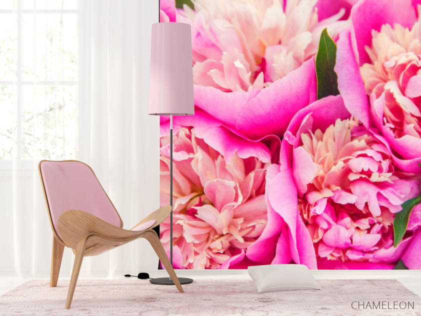 Фотошпалери Яскраво рожеві півонії - 4