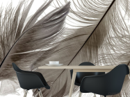 Фотошпалери Коричневі пір'я - 1