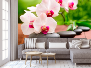 Фотообои Орхидеи бело-малиновые - 3