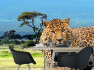 Фотошпалери Гепард перед стрибком - 1