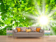 Фотообои Дубовый лист - 1