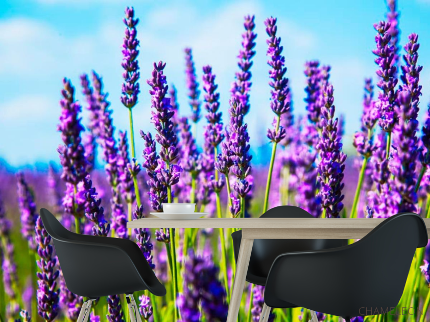 Фотошпалери Квіти - 1