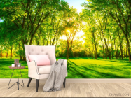 Фотообои Зеленые деревья - 4