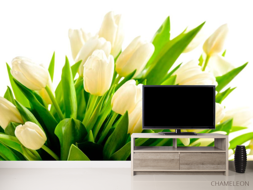 Фотообои Тюльпаны - 2