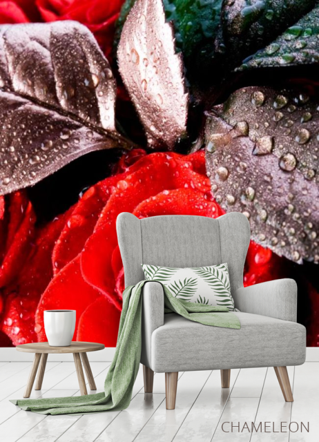 Фотообои Алая распустившаяся роза - 3