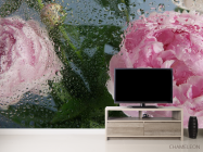 Фотообои Розовые пионы с каплями дождя - 2