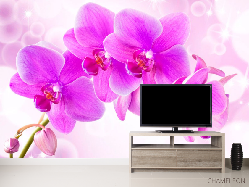 Фотообои Орхидеи - 2