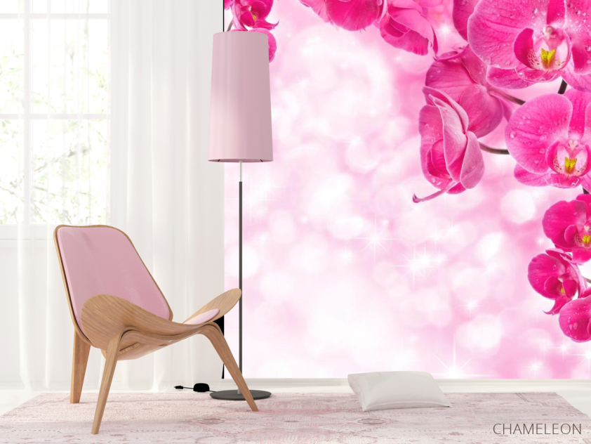 Фотошпалери Рожеві орхідеї і вода - 4
