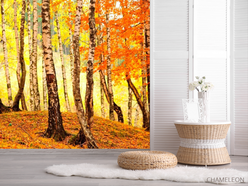 Фотошпалери Березовий шепіт - 2