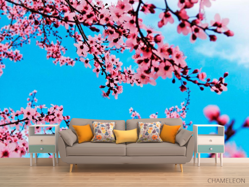 Фотообои Цветущая весной вишня - 1