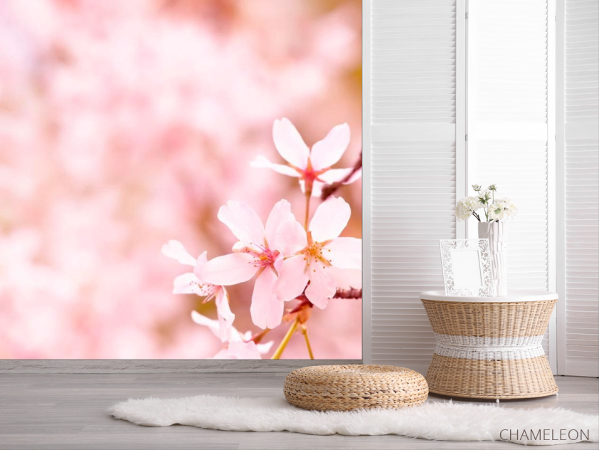 Фотошпалери Тонколиста квіти - 2