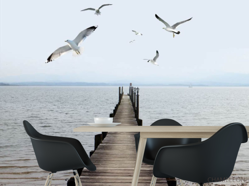 Фотошпалери Пірс з чайками - 1