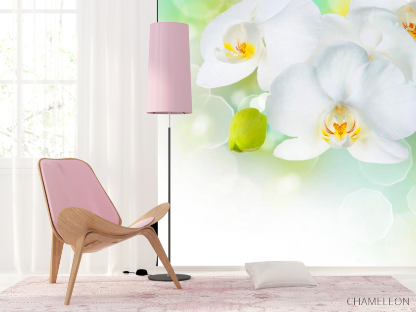 Фотошпалери Орхідеї в цвіту - 4