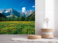Фотошпалери Квітковий луг гори - 2