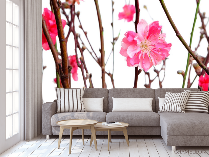 Фотообои Розовый цветок - 3