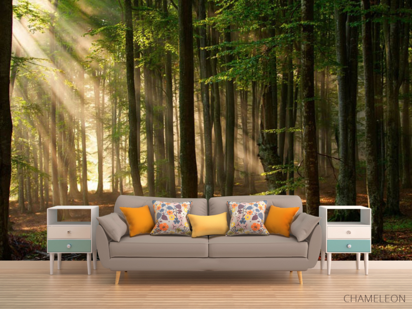 Фотообои Деревья - 1