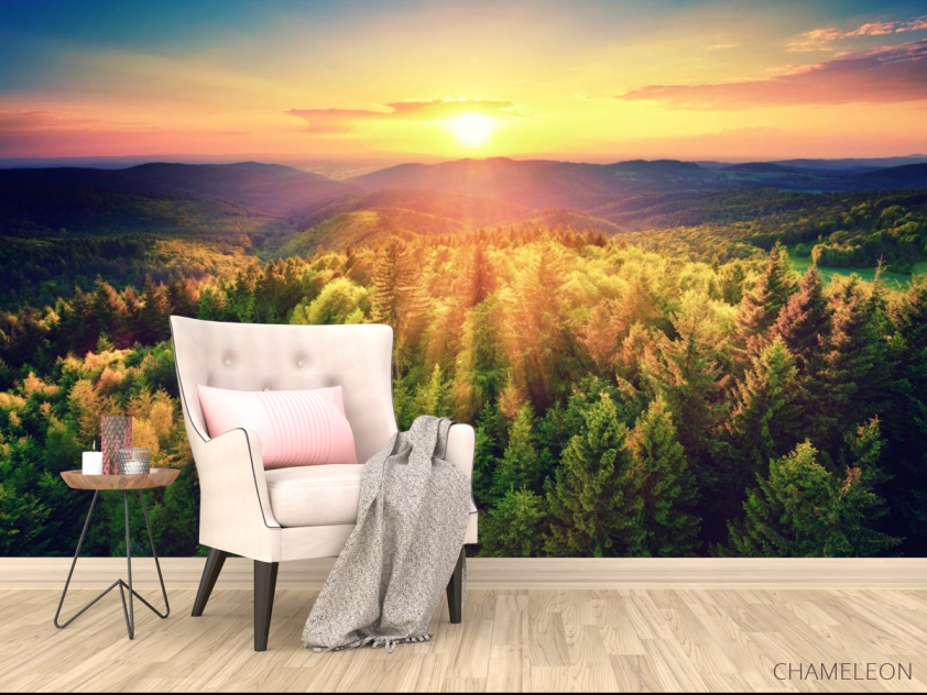 Фотообои закат над сосновым лесом - 4