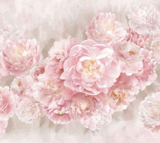 Фотошпалери Рожеві півонії 33182