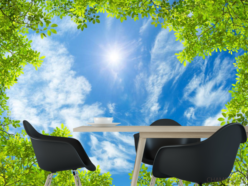 Фотошпалери Гілки і небо стеля - 1