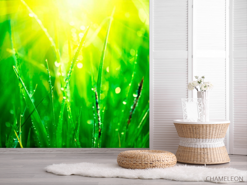 Фотошпалери На траві роса - 2
