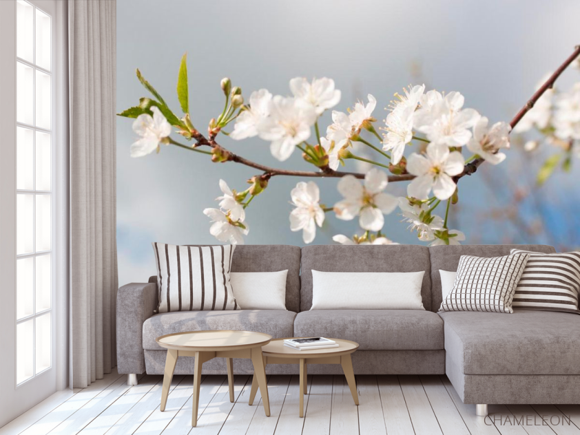 Фотообои Мелкие белые цветочки - 3