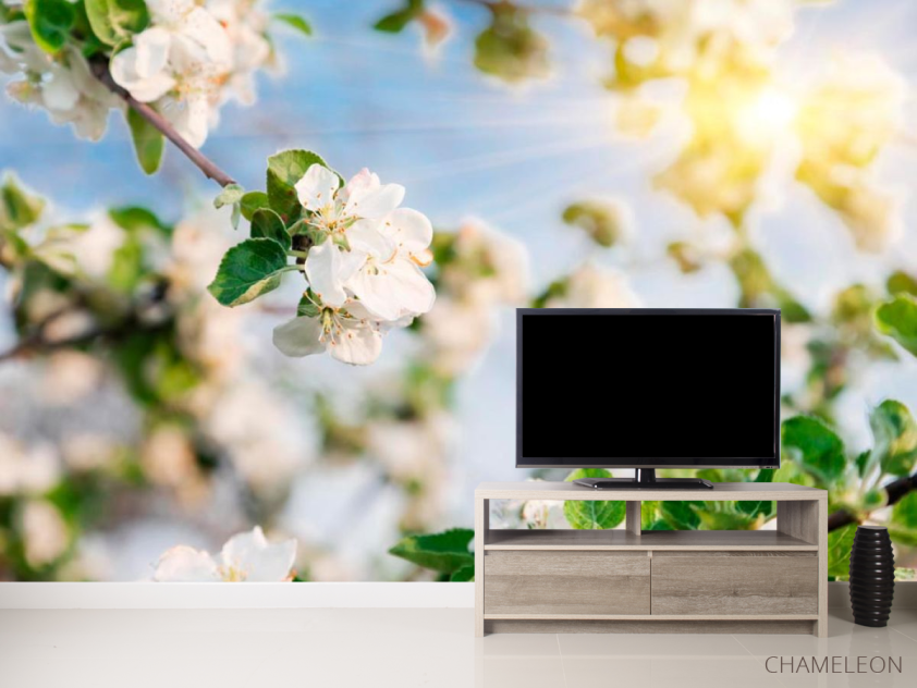 Фотообои Цветы под солнцем - 2