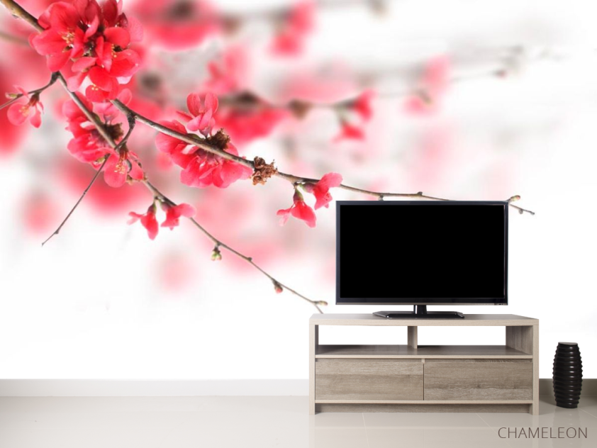 Фотообои Красное цветущее дерево - 2