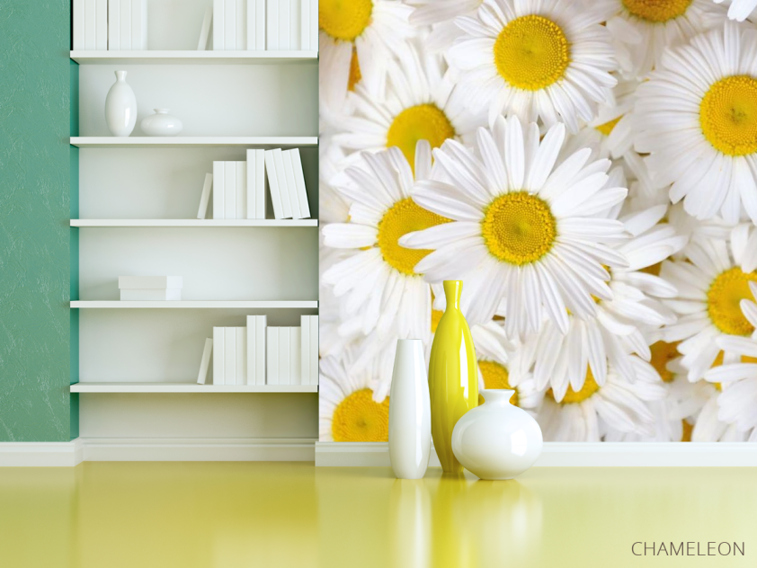 Фотошпалери ромашки - 3