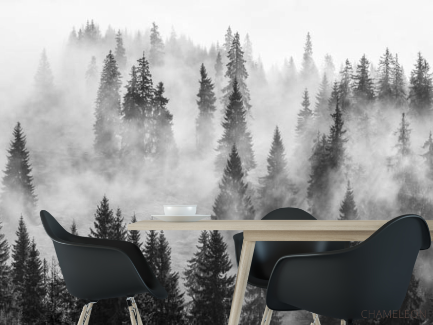Фотошпалери туманні ялини - 1