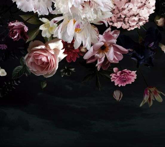 Фотообои Цветы на чорном фоне Фотообои Цветы на чорном фоне 33101