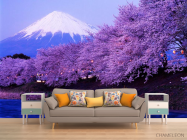 Фотообои Гора, цвет - 1