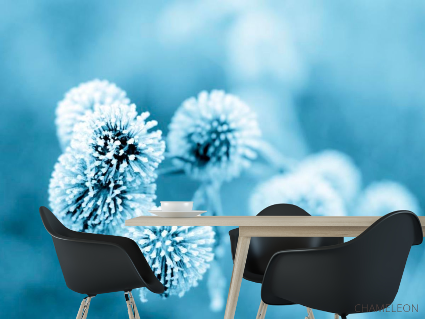 Фотошпалери Квіти в інеї - 1