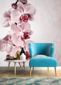 Фотообои Серенькие орхидеи - 4