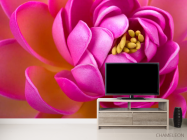 Фотообои Малиновый пион - 2